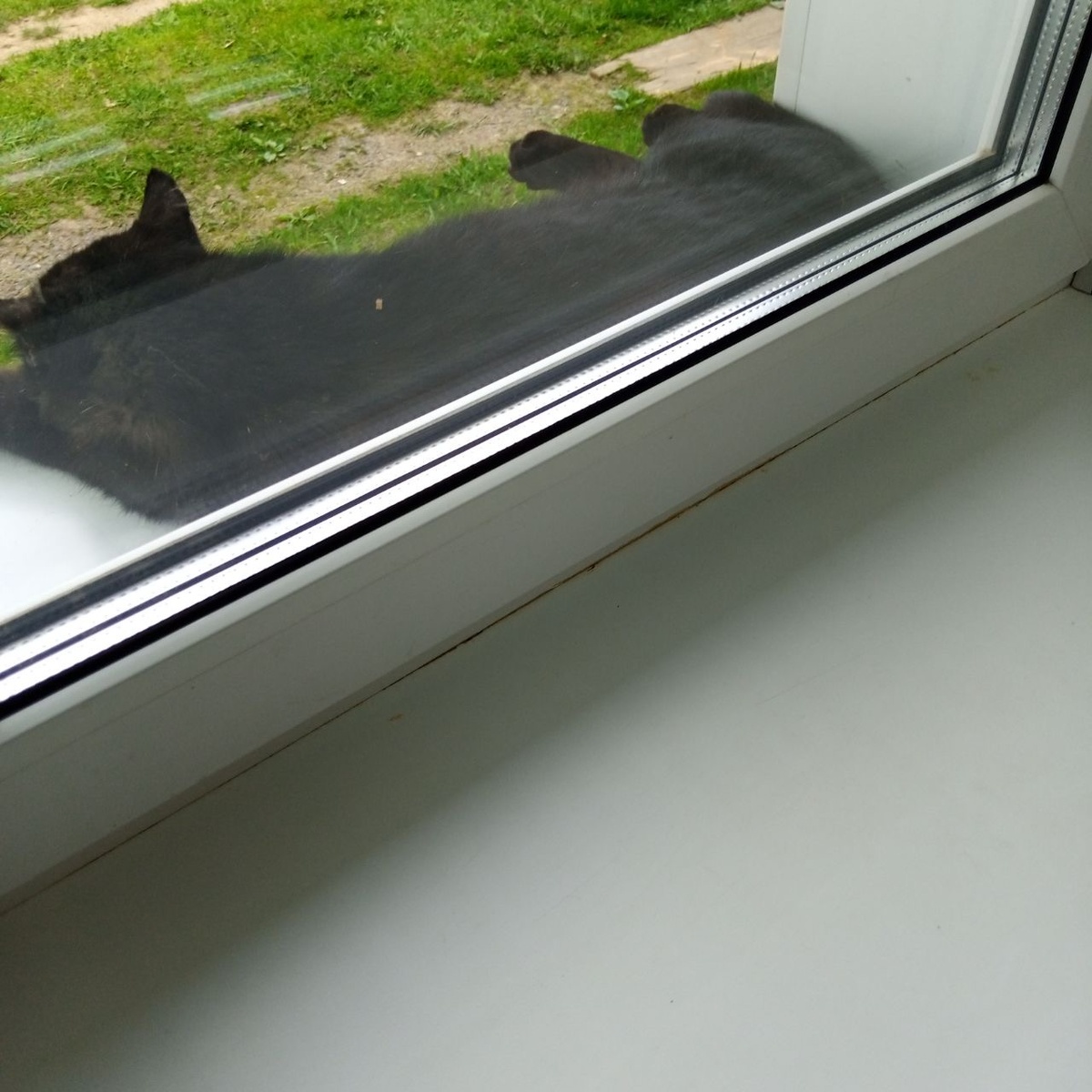 Чистенький однако подоконник.