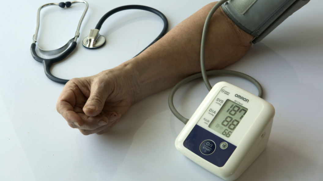    Фото: NIKOLAY GYNGAZOV/GLOBALLOOKPRESS