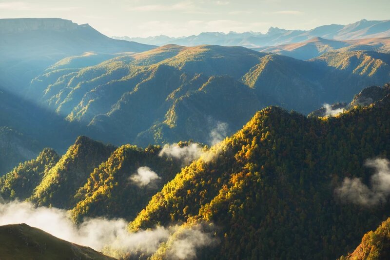 Источник фото: коллекция Трипстер, фотосток 