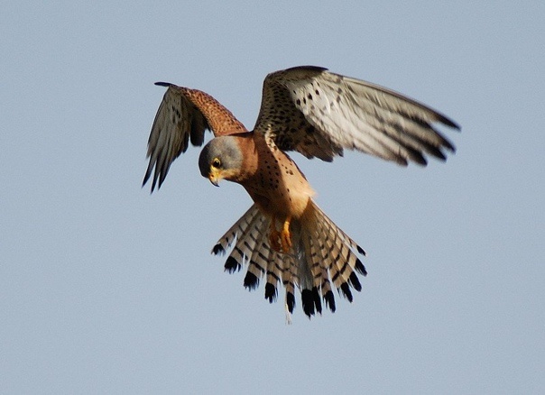 Вообще - похоже. Возможно, она и есть. Фото из открытых источников 