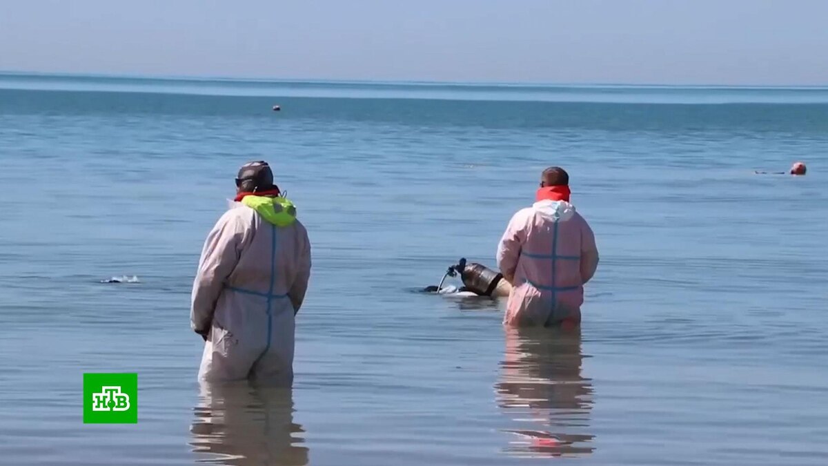    Минздрав предупредил об опасности купания в Анапе