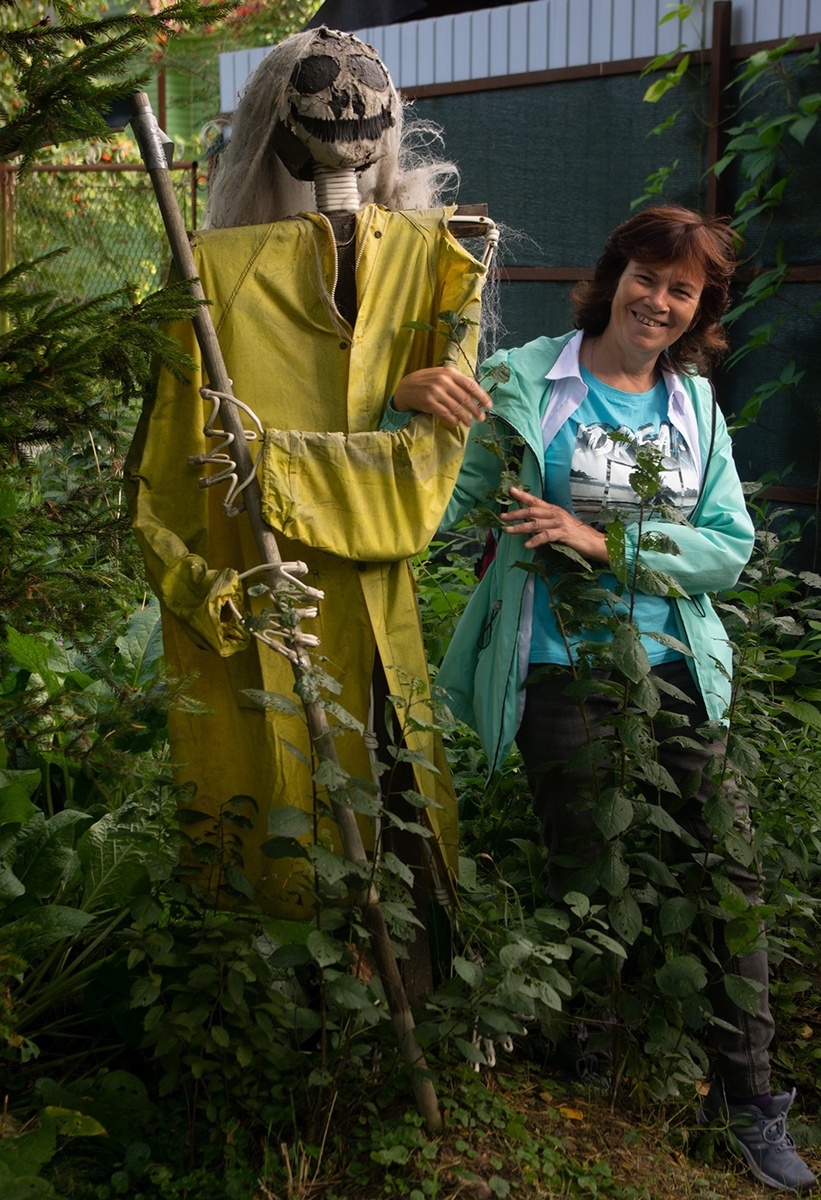 По дороге к экотропе Сестрорецкое болото