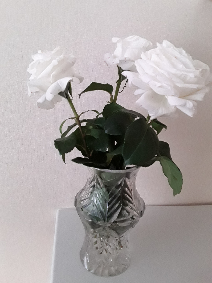 Фото мое. 03.06.2025