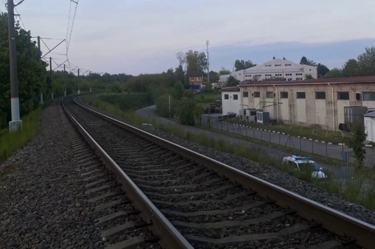    Перевозки на ЗСЖЖ выросли на 3,4% с начала года