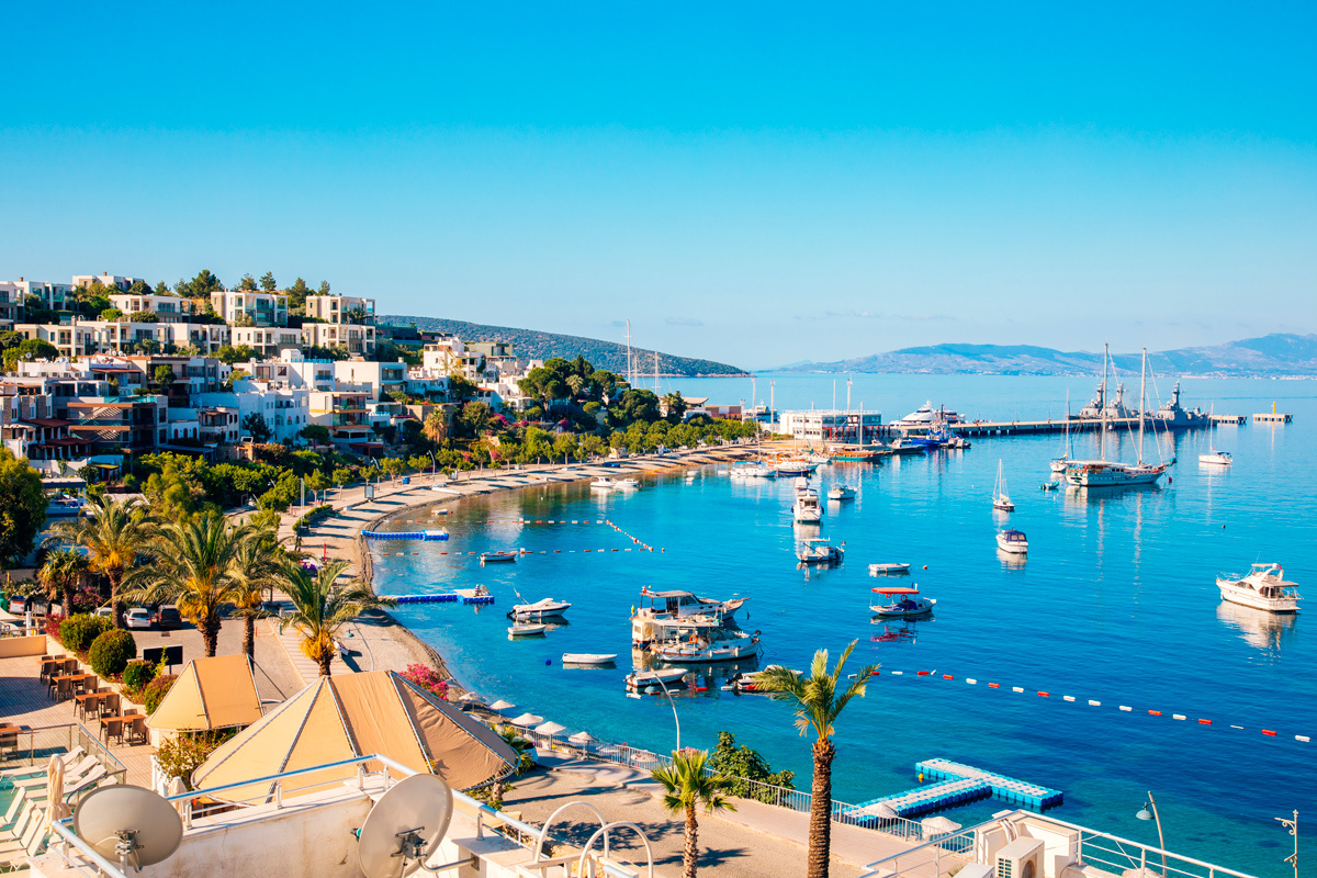    Фото: Hakan Tanak / Shutterstock.com