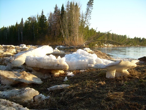 Фотографии Татьяны Немшановой. Первые числа июня в тайге. Река Ятрия. Ледоход.  Север Западная Сибирь Приполярный Урал Зауралье ХМАО Югра. 