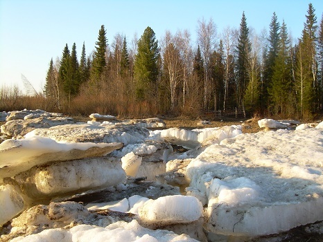 Фотографии Татьяны Немшановой. Первые числа июня в тайге. Река Ятрия. Ледоход.  Север Западная Сибирь Приполярный Урал Зауралье ХМАО Югра. 