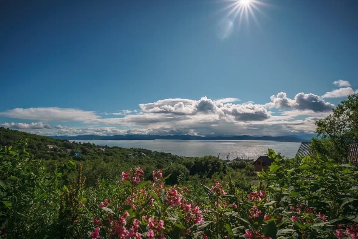    В некоторых районах Камчатки потеплеет до +26 градусов 4 июня