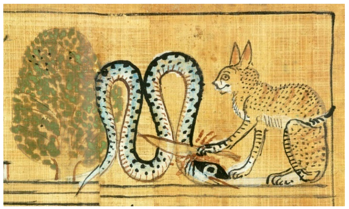 Ра. Источник: https://www.mdpi.com/2076-0752/9/2/51