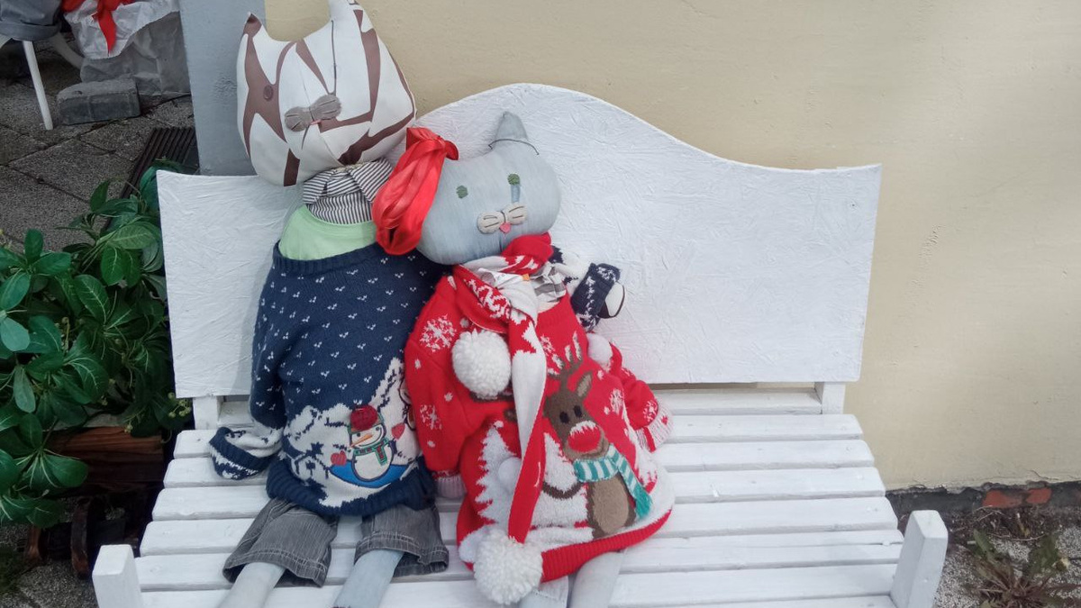 Коты Зеленоградска