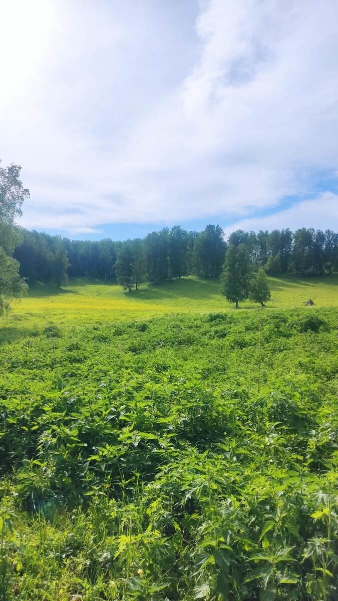 Окрестности Злоказово