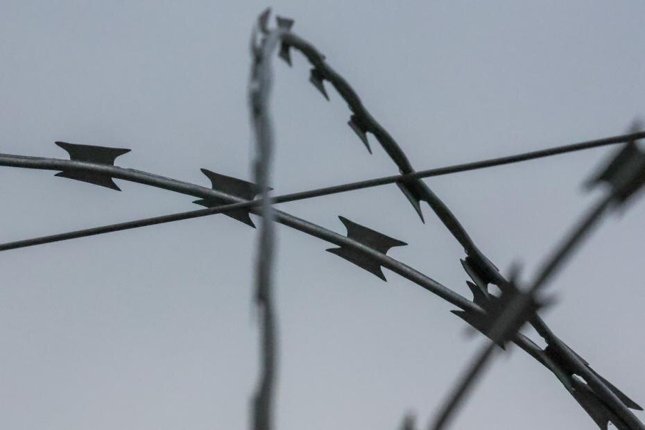    Алексей Белкин/NEWS.ru