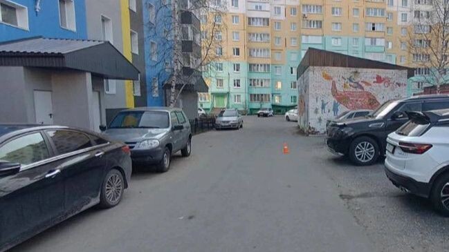    Фото предоставлено пресс-службой Госавтоинспекции Ноябрьска