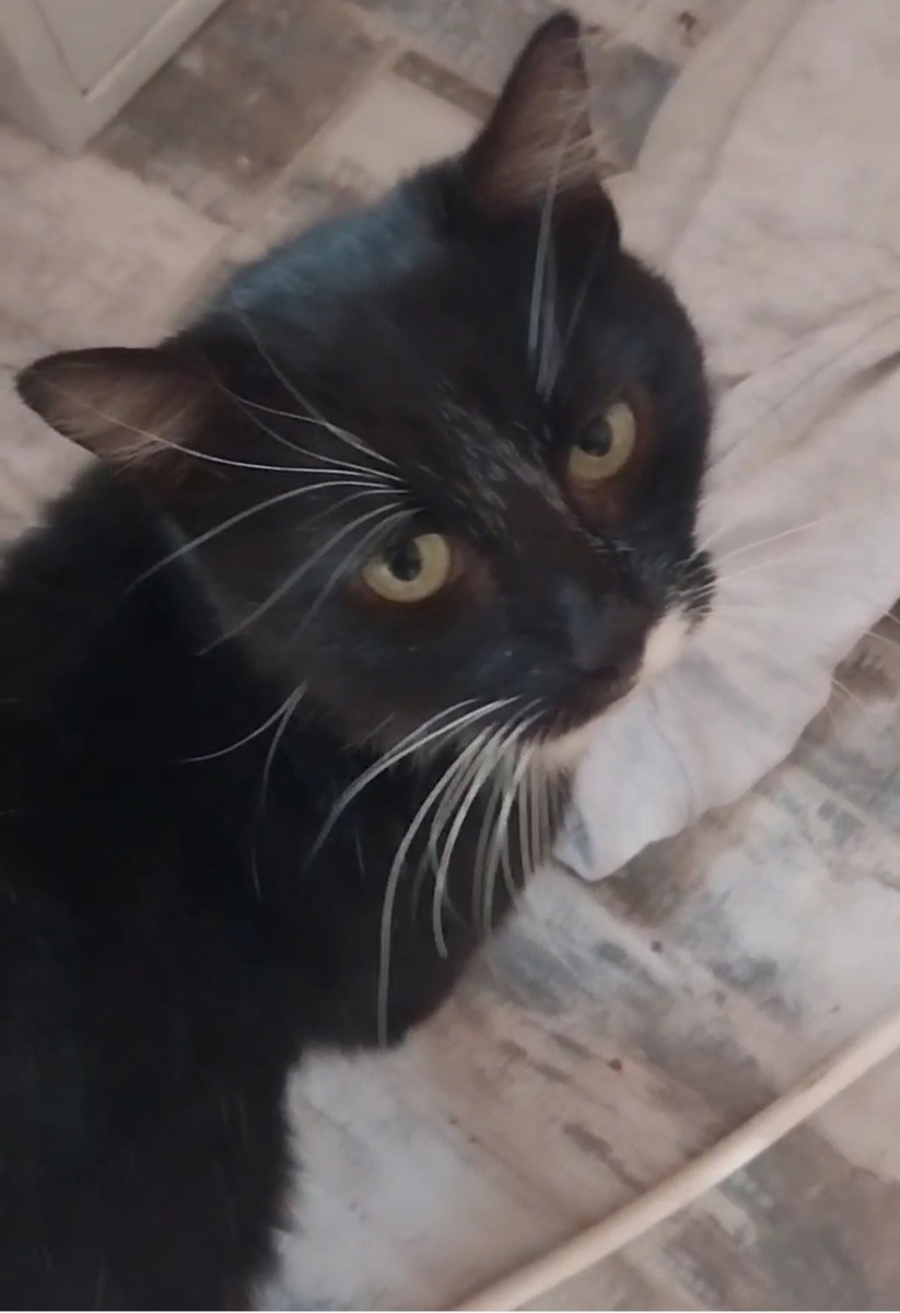 это он только осваивается у нас