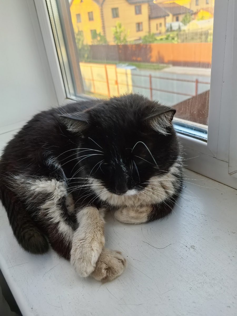 а это сегодня)