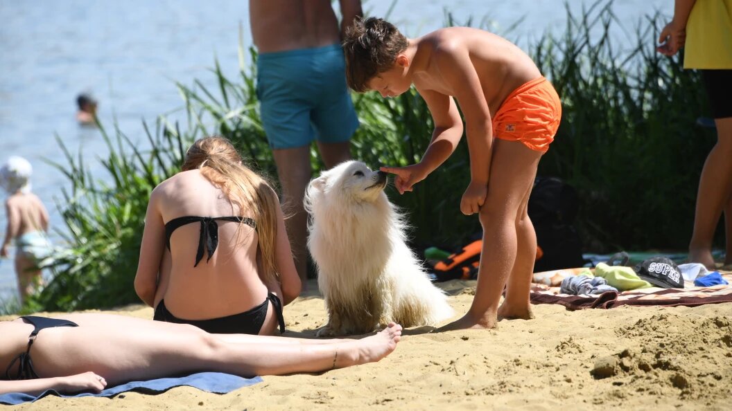    Komsomolskaya Pravda/Global Look Press