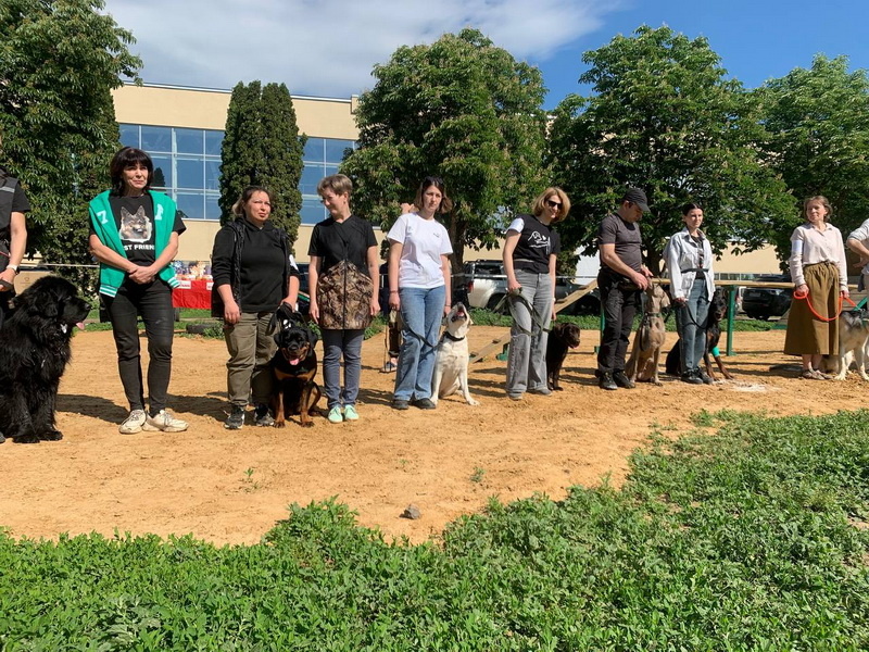 Построение участников.