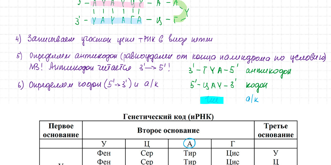 А ты знаешь, что такое ПАЛИНДРОМ? Нет?! Срочно решай реальное 27-е задание ЕГЭ по Биологии!