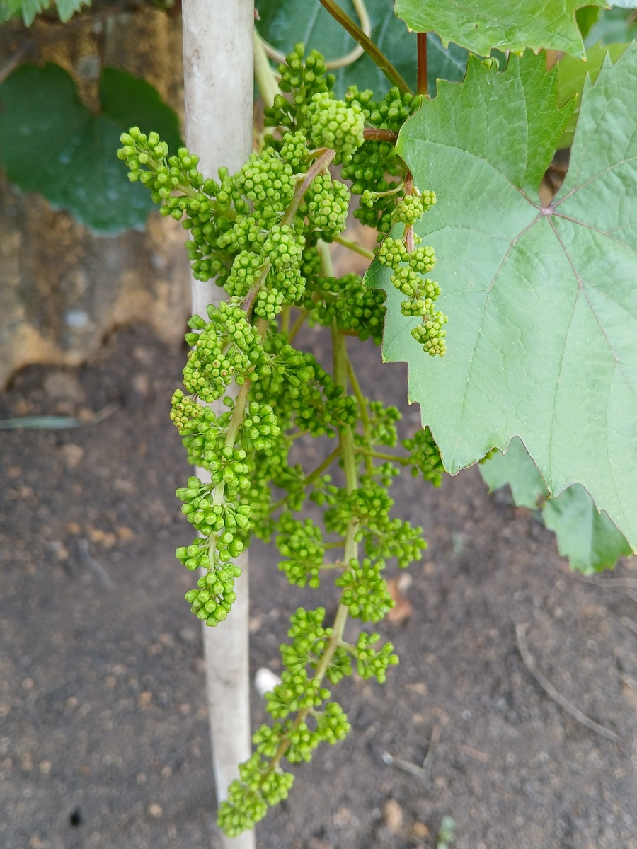 Фото подписчицы 