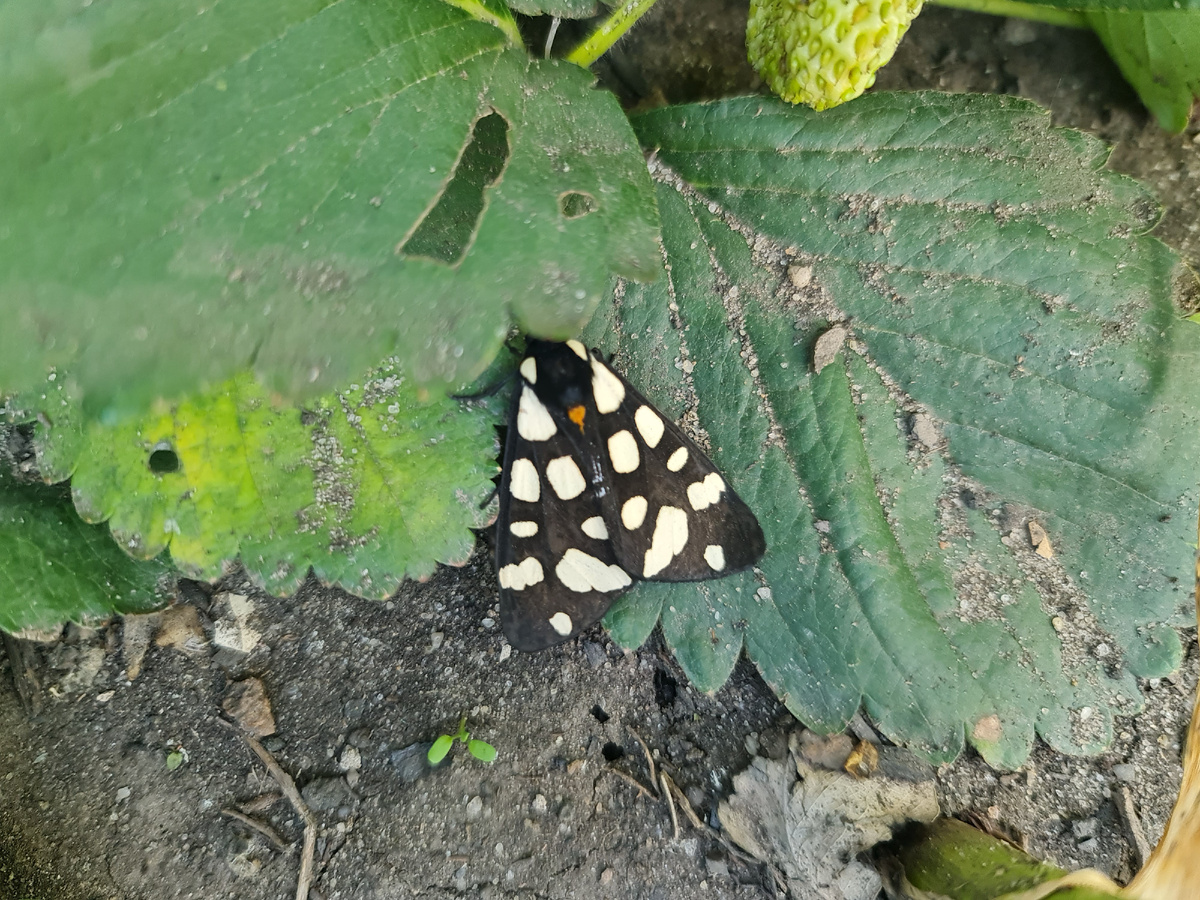 02.05.2025 фото автора