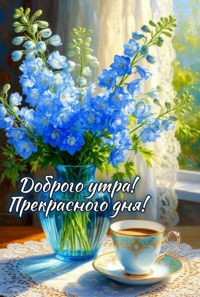 Фото из интернета.