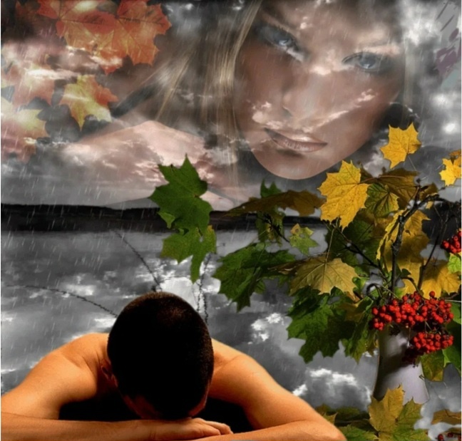 Картинка из открытого доступа Яндекс картинки