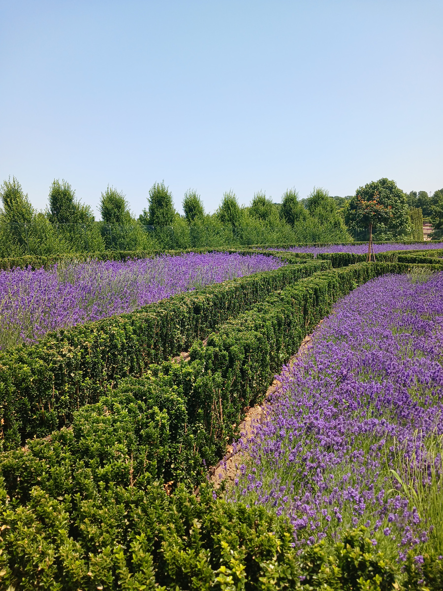 Результат работы ландшафтных дизайнеров в парке Краснодар