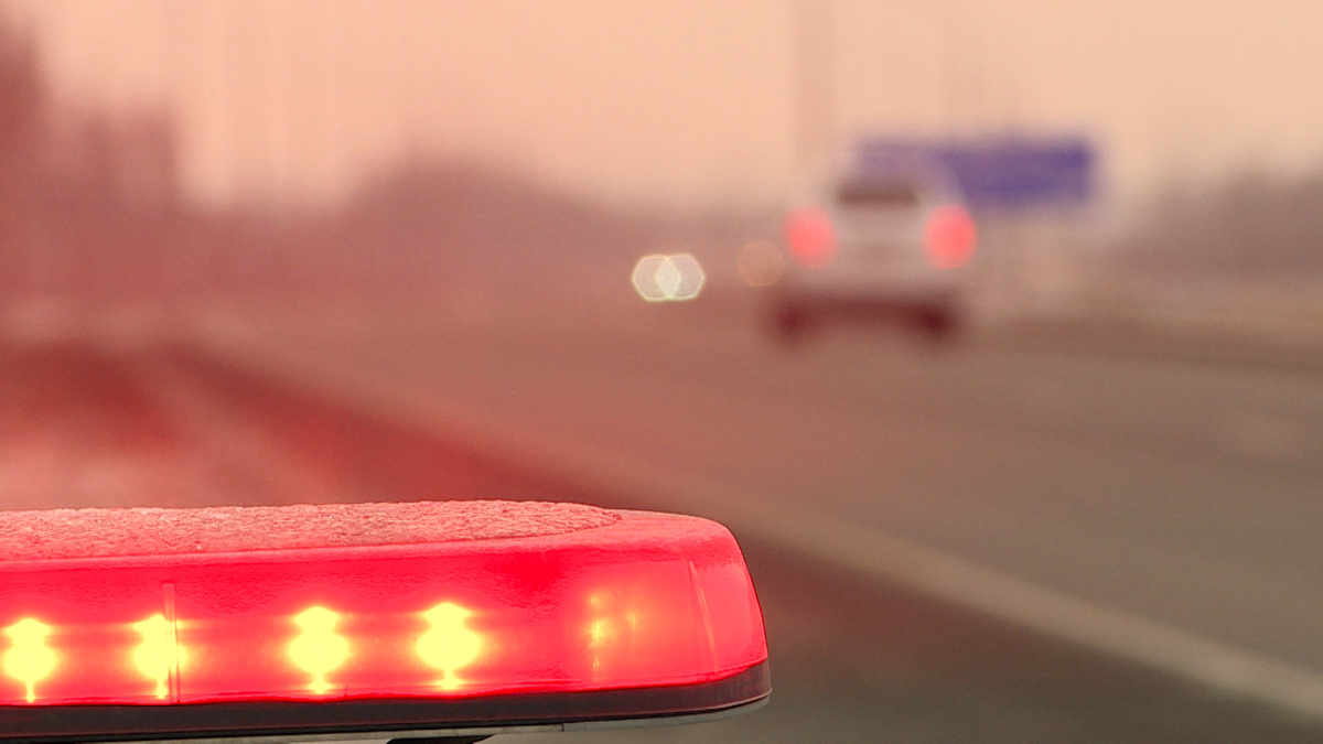    Фото: ГТРК «Карелия»