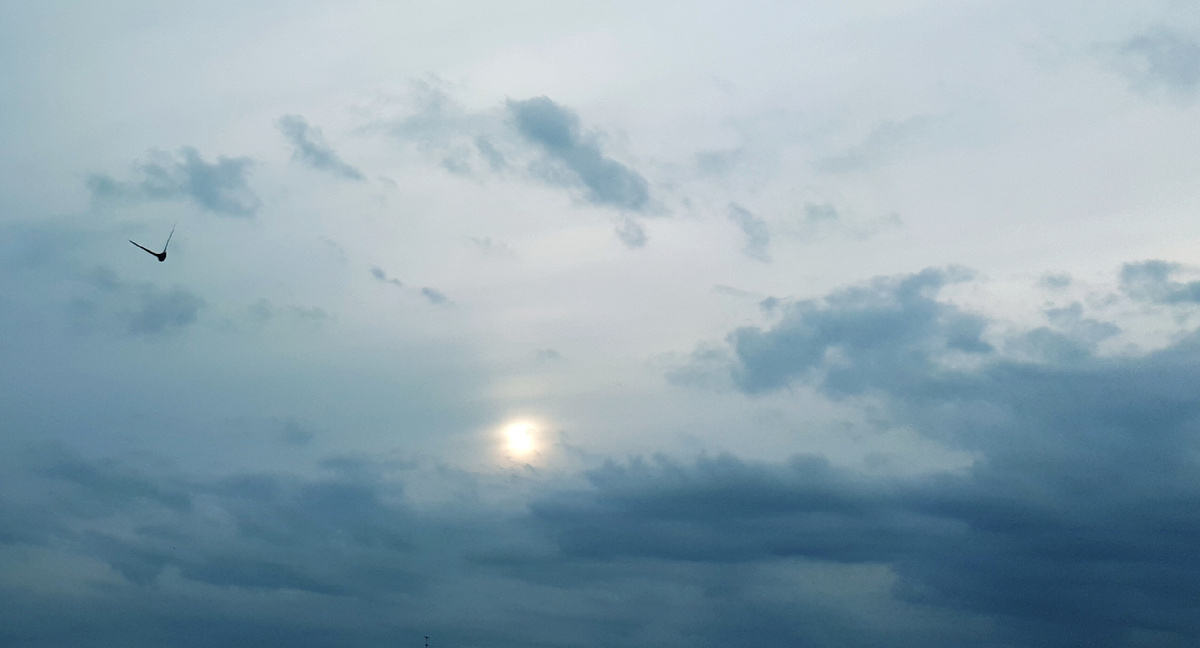 Личное фото 03.06.2025г.