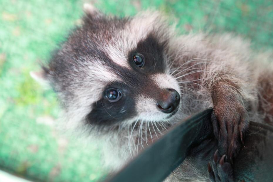    Сергей Булкин/NEWS.ru