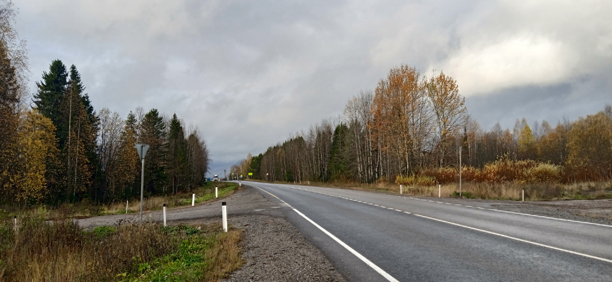 Дорога из Арханегльска в Пудож  через Каргополь  в нашем представлении 
