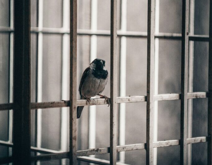 Фото: m shiva / Unsplash