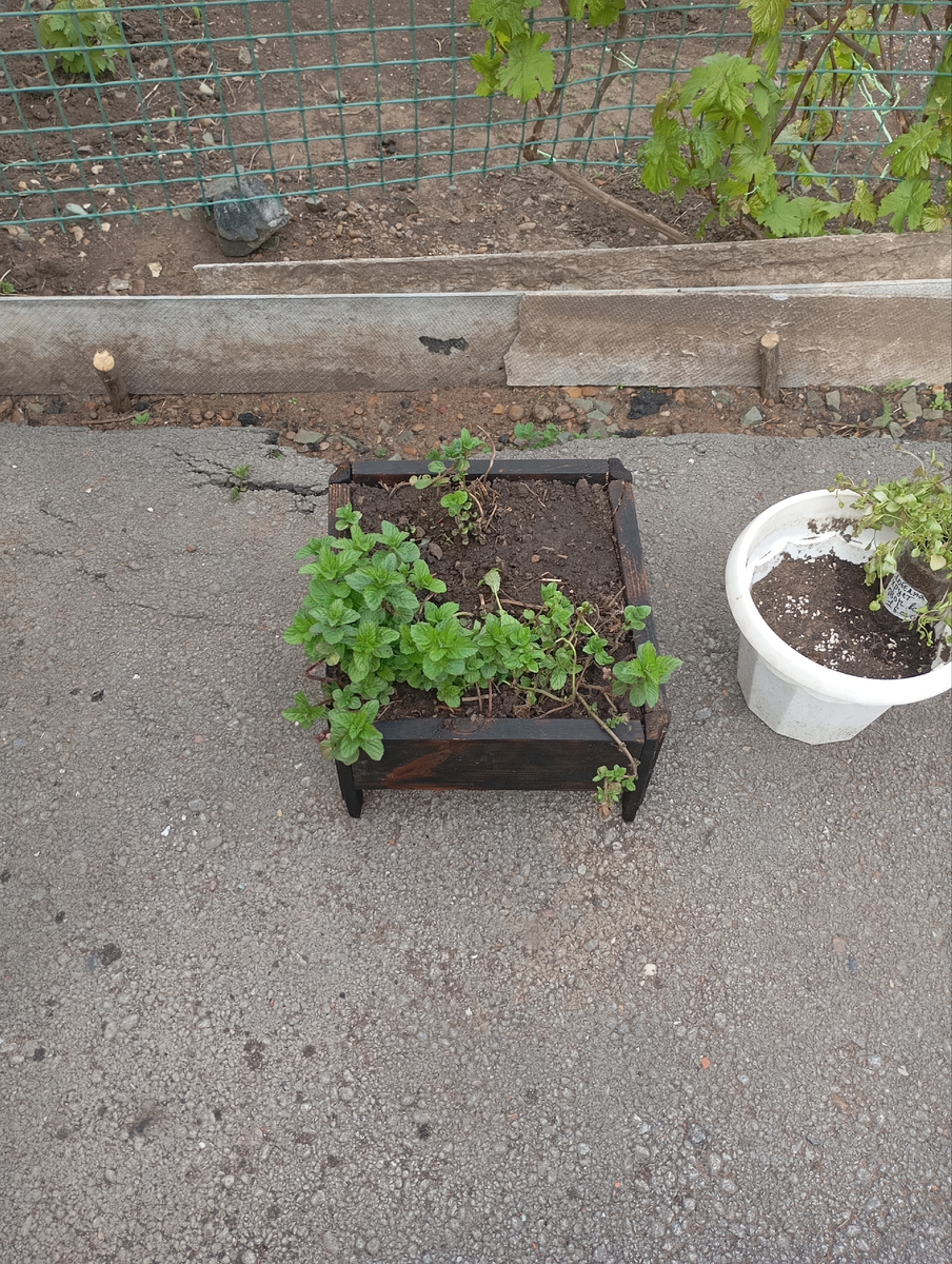 А это горшочек делала вместе с грядкой. Размеры "горшка" 20/20 высота 18 сантиметров. Ножки вообще из старого плинтуса) 