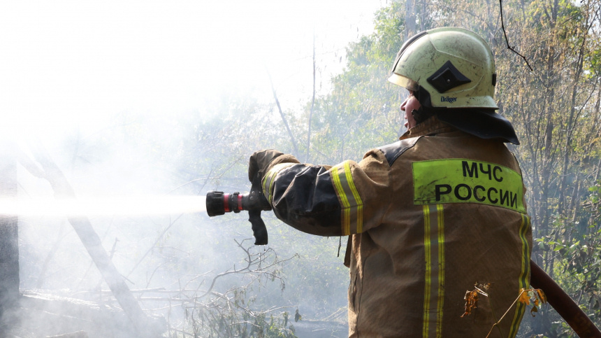    Фото: © РИА Новости/Сергей Аверин; 5-tv.ru