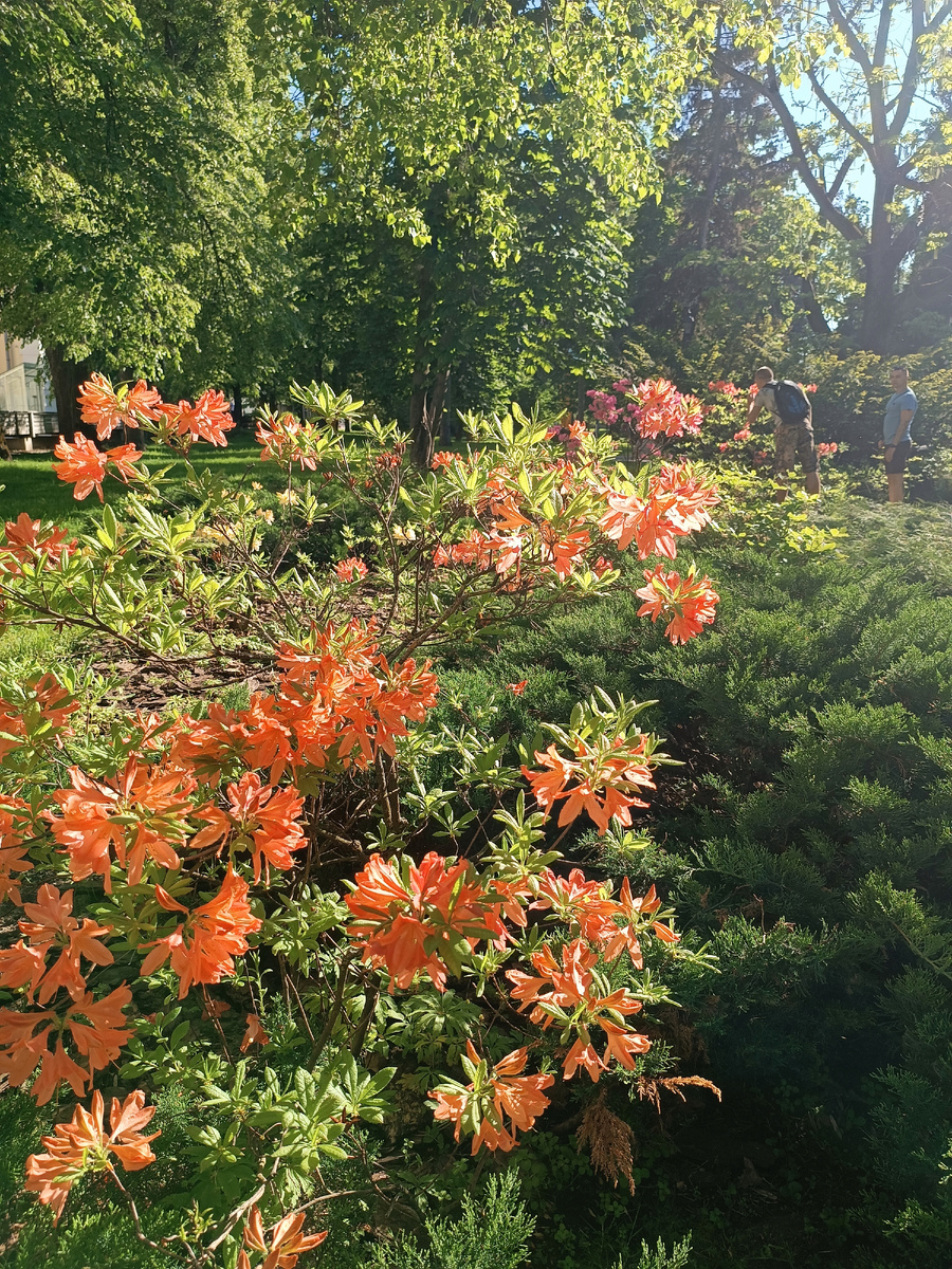Территория Нижегородского Кремля. Фото автора