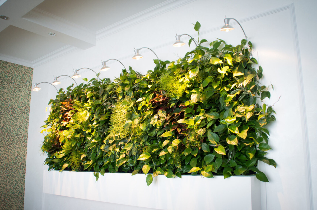 Фото с сайта ecodiamond.ru