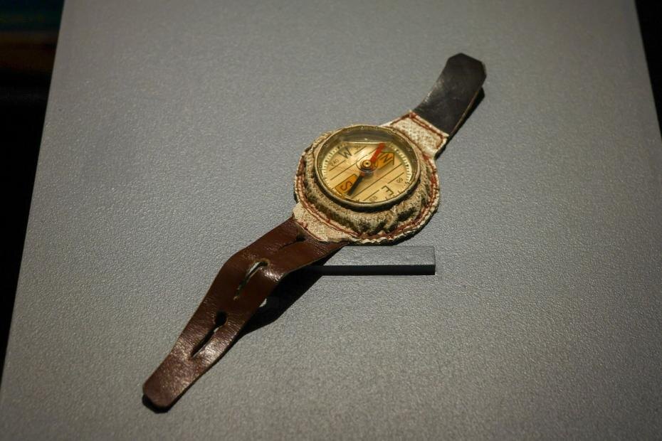    Сергей Петров/NEWS.ru