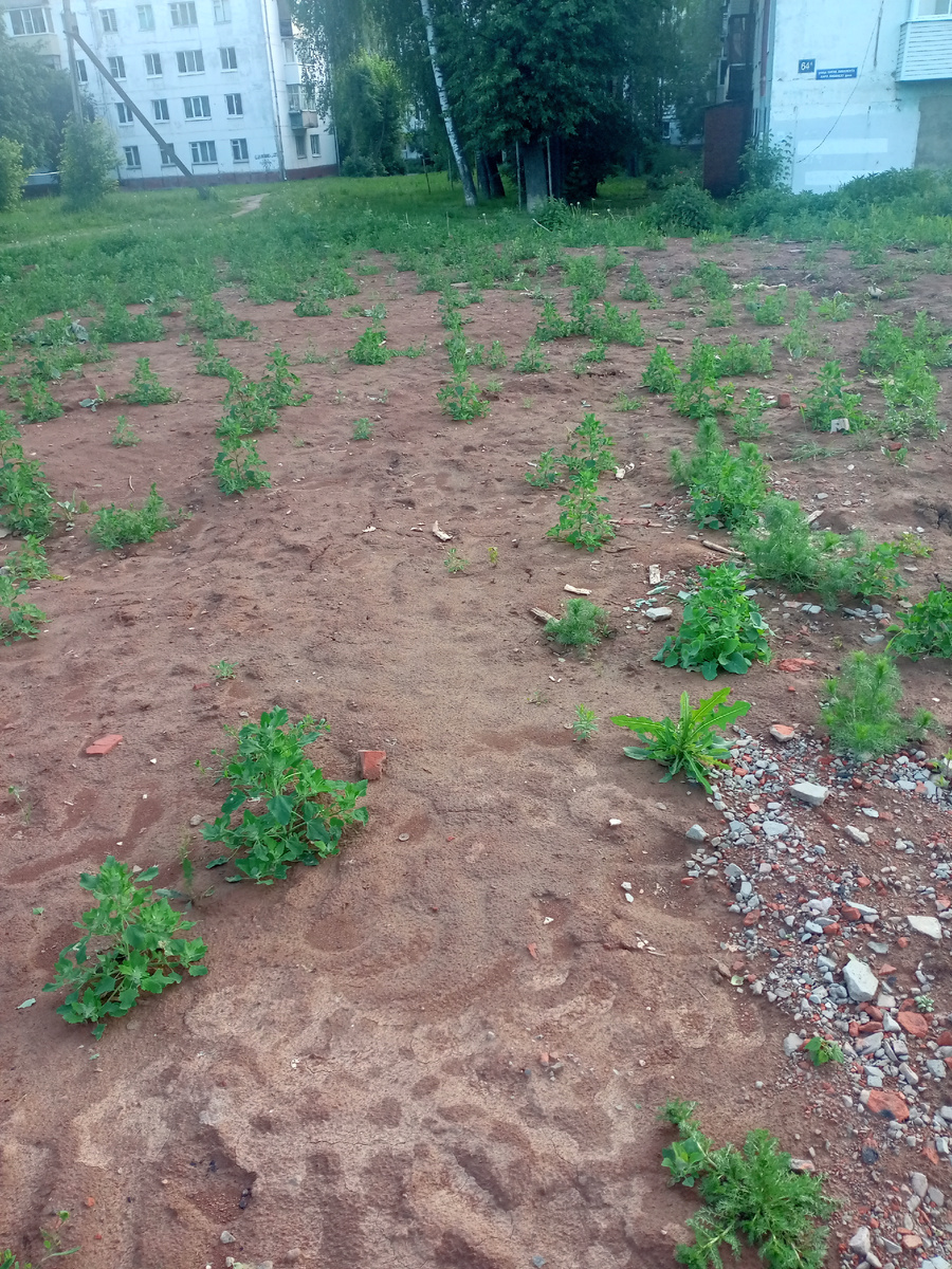 На месте снесённого здания. 