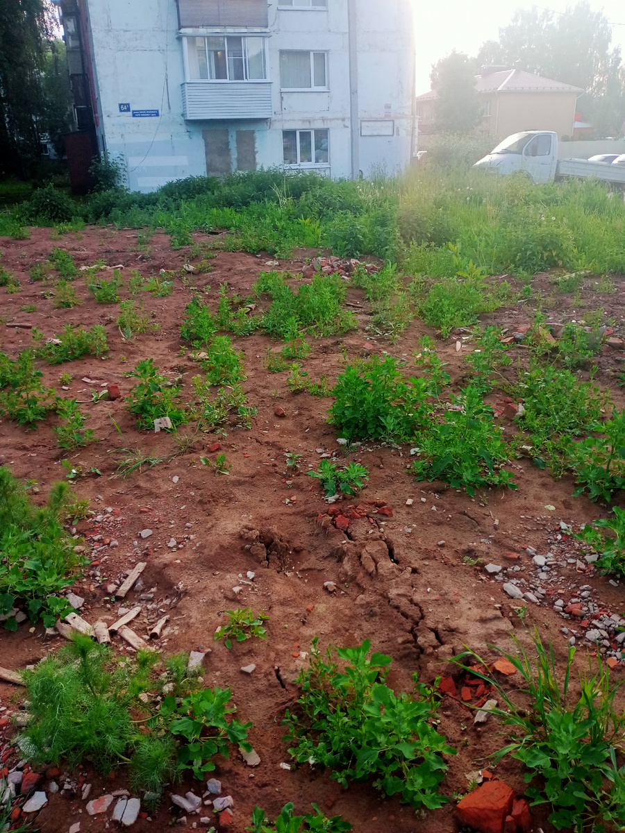 На месте снесённого здания.