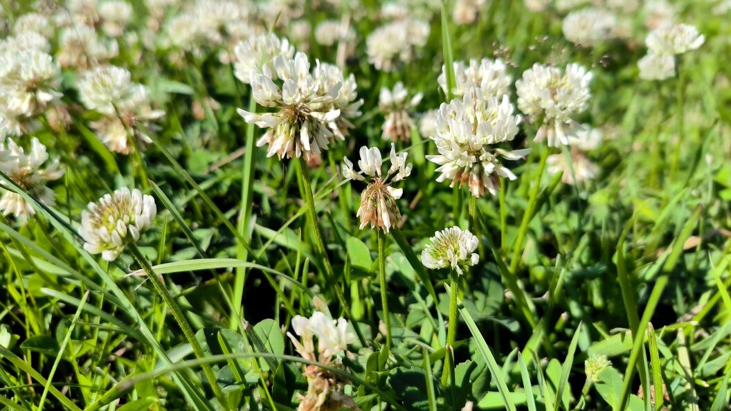    Maksim Konstantinov/Global Look Press