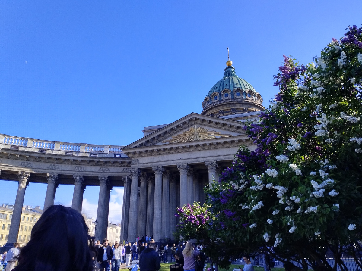 Сирень просто обалденная около Казанского собора