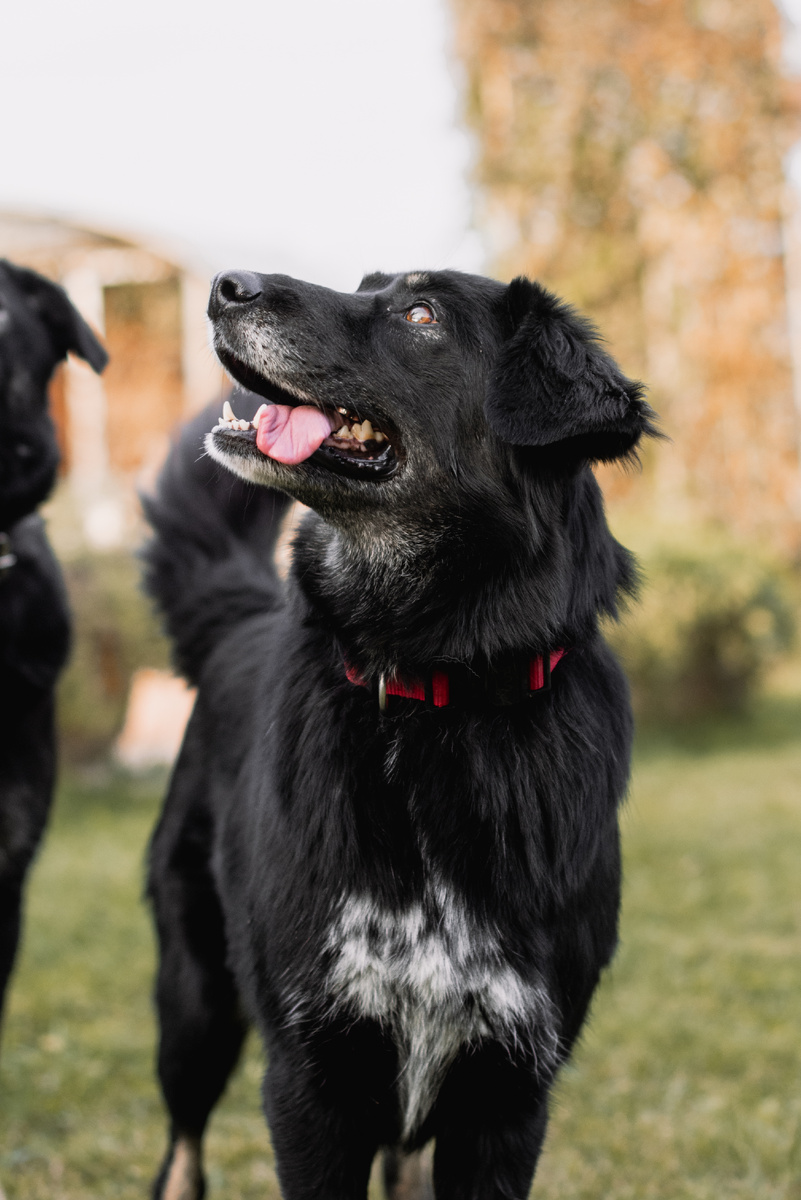 Королева Масюня...искренне люблю это фото)