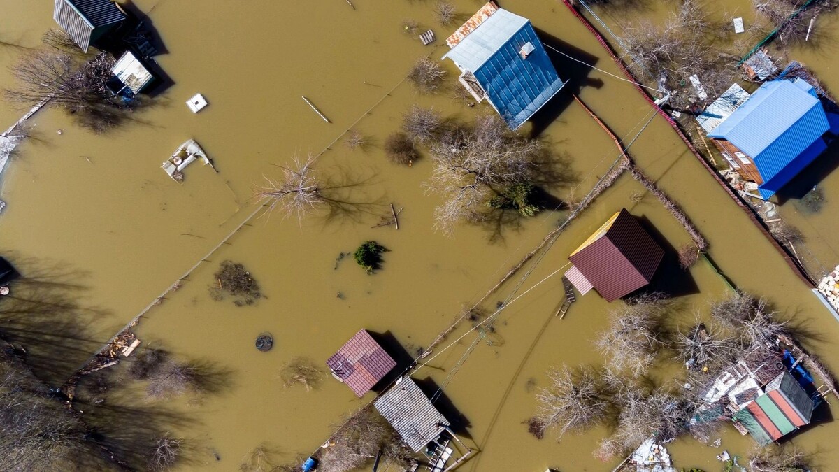    Фото: PhotoChur/Shutterstock/Fotodom