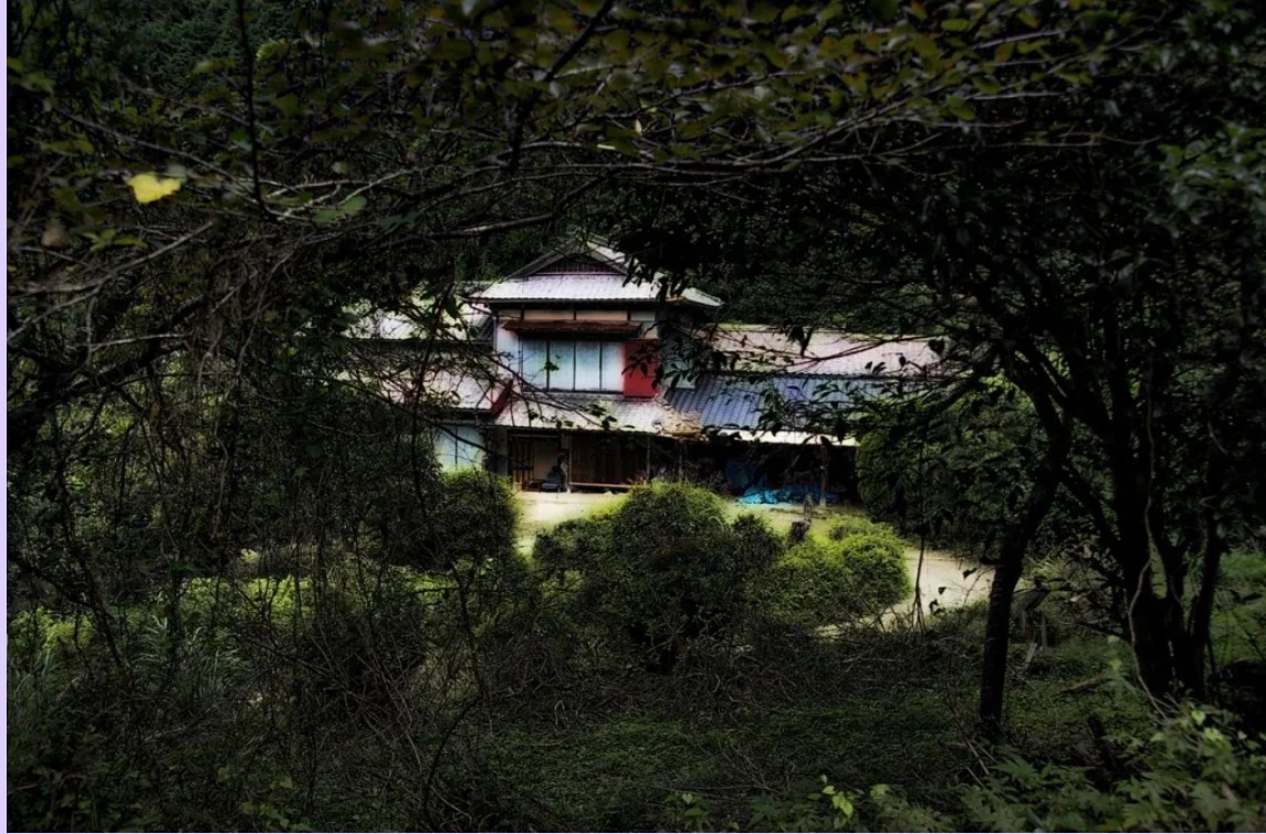 Отдельно стоящий дом с закрытыми ставнями. сточник: mushroomcoven.wordpress.com