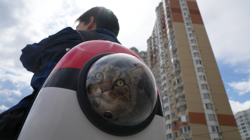    Фото: ИЗВЕСТИЯ/Дмитрий Коротаев