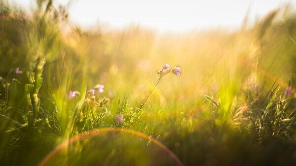    © Telegram-канал губернатора Херсонской области Владимира Сальдо