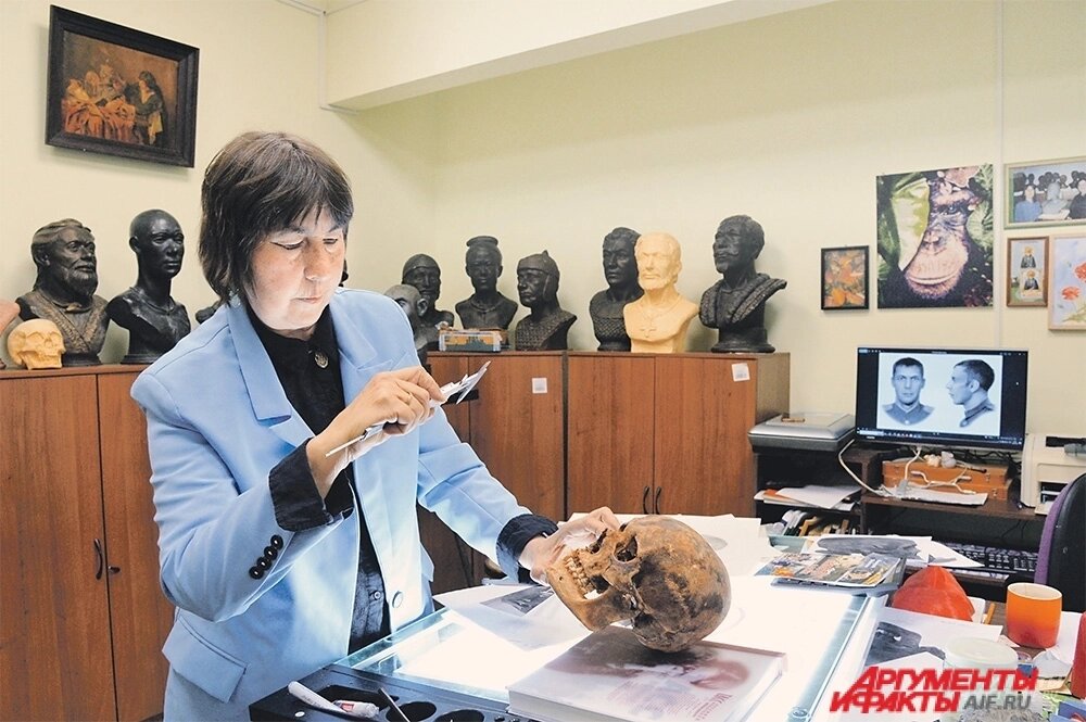    «Сейчас мы пока реставрируем черепа, один сильно разрушен». Фото: АиФ/ Эдуад Кудрявицкий
