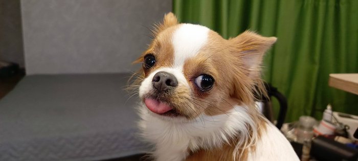 Листайте вправо, чтобы увидеть больше изображений