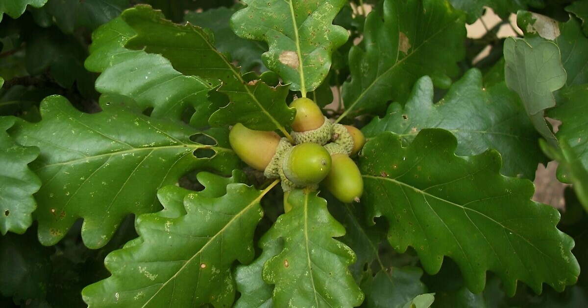     Источник: freepik.com