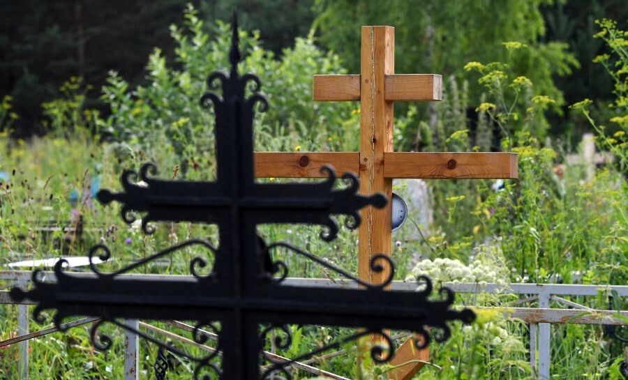     / Источник: © Илья Наймушин/РИА Новости